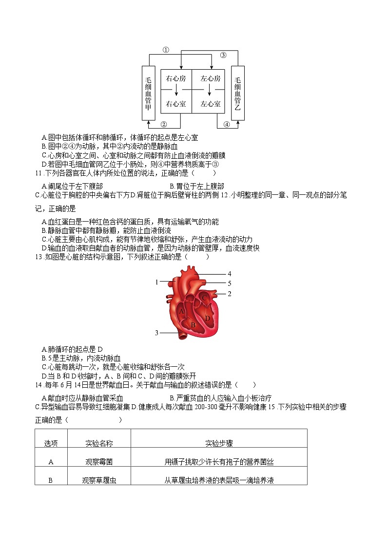 专题04 生物圈中的人（三）人体内的物质运输（过练习）-备战2024年中考生物新课标专题过过过03