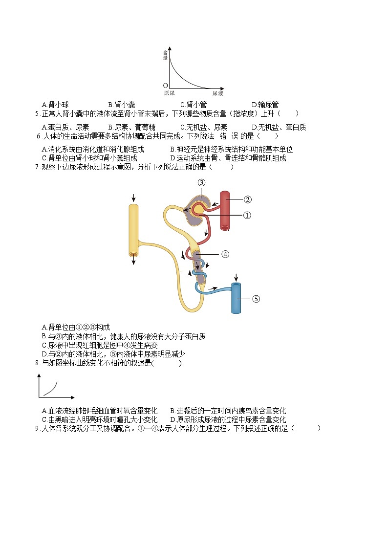 专题04 生物圈中的人（四）人体内废物的排出（原卷版）第2页