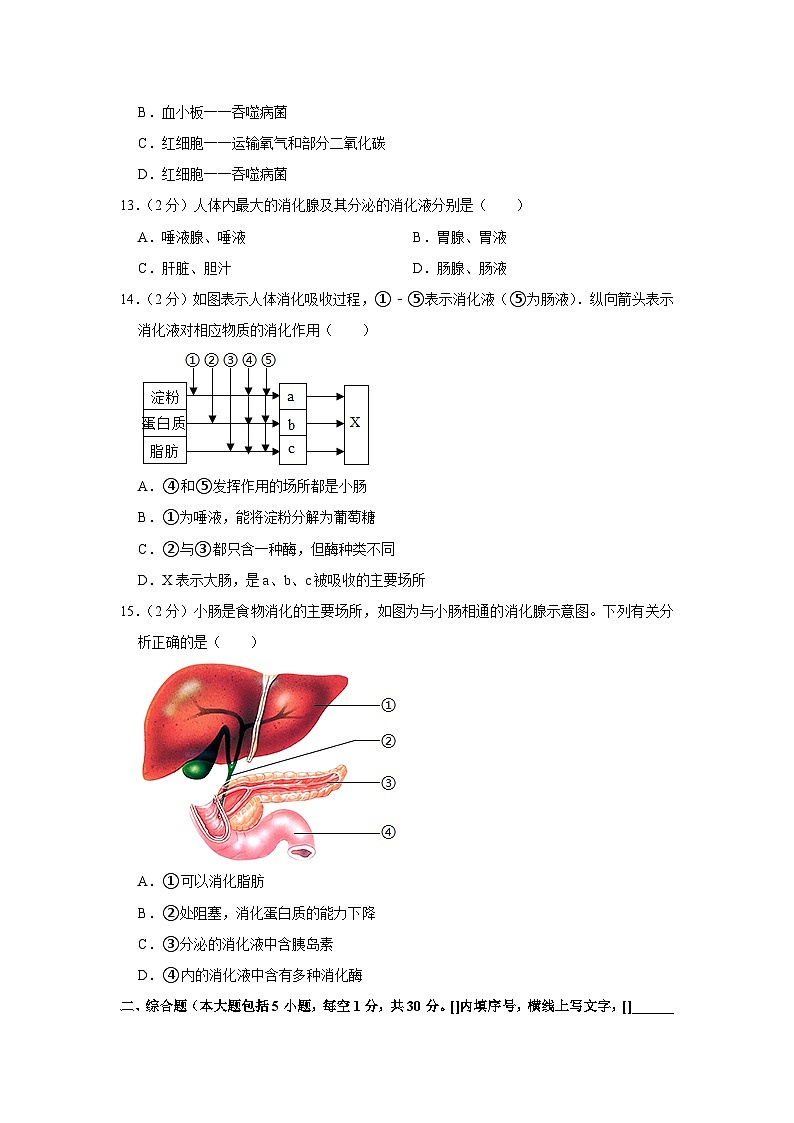 广西钦州市浦北县第三中学2022-2023学年七年级下学期3月月考生物试题03