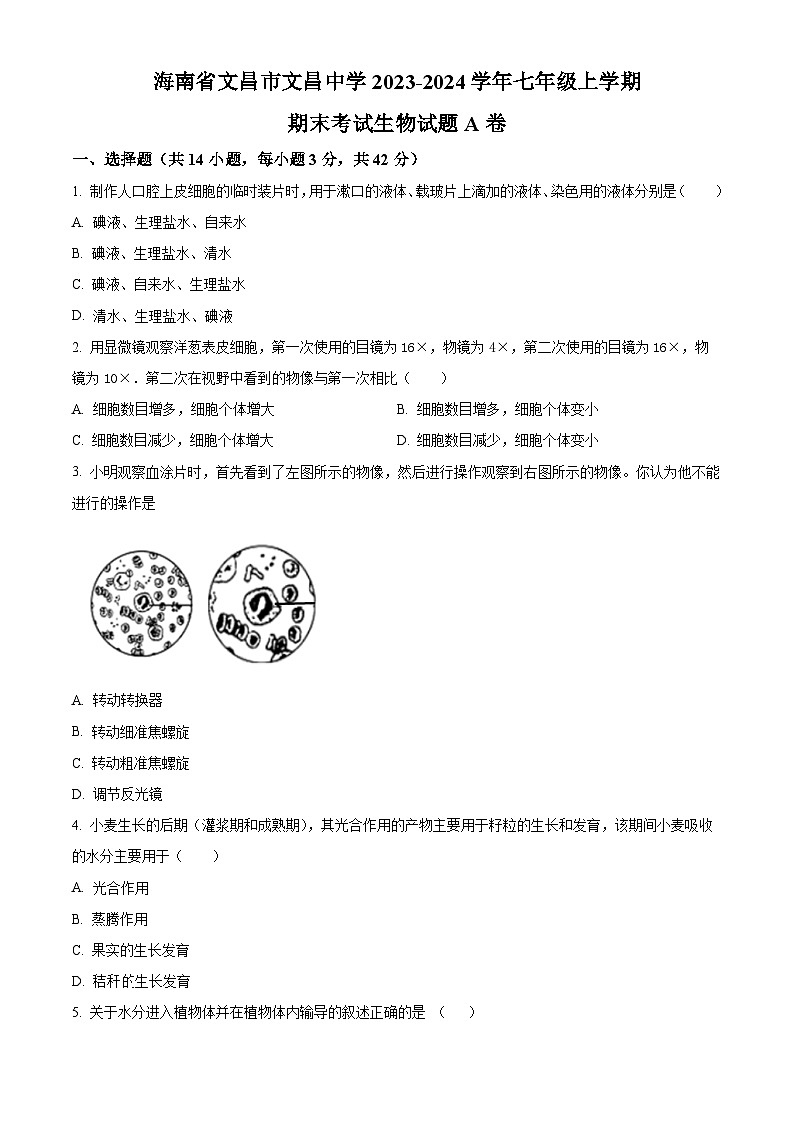 精品解析：海南省文昌市文昌中学2023-2024学年七年级上学期期末生物试题A卷（原卷版）第1页