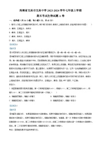 海南省文昌市文昌中学2023-2024学年七年级上学期期末生物试题A卷（原卷版+解析版）