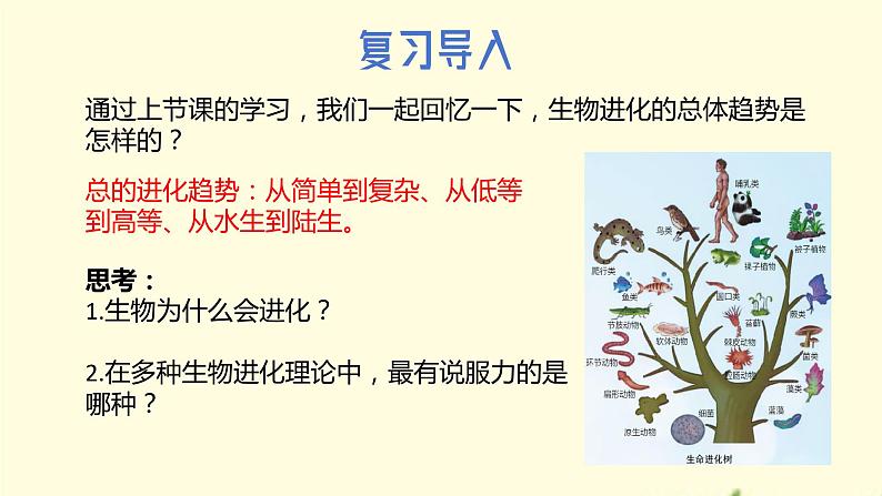 21.2++生物的进化（第二课时）课件-2023-2024学年北师大版生物八年级下册02