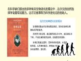 21.2++生物的进化（第二课时）课件-2023-2024学年北师大版生物八年级下册
