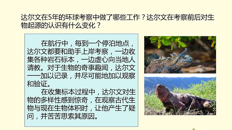 21.2++生物的进化（第二课时）课件-2023-2024学年北师大版生物八年级下册08