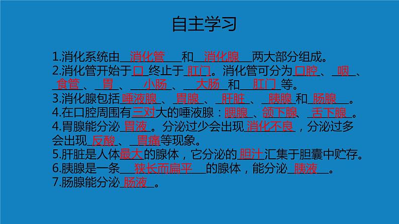 8.2++食物的消化和营养物质的吸收（第一课时）课件-2023-2024学年北师大版生物七年级下册第4页