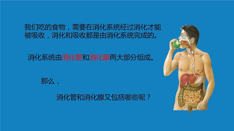 8.2++食物的消化和营养物质的吸收（第一课时）课件-2023-2024学年北师大版生物七年级下册第5页