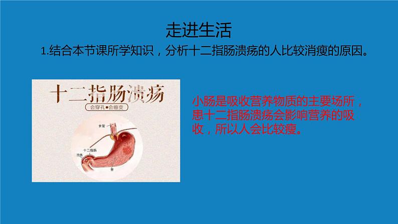 8.2++食物的消化和营养物质的吸收（第三课时）课件-2023-2024学年北师大版生物七年级下册第8页