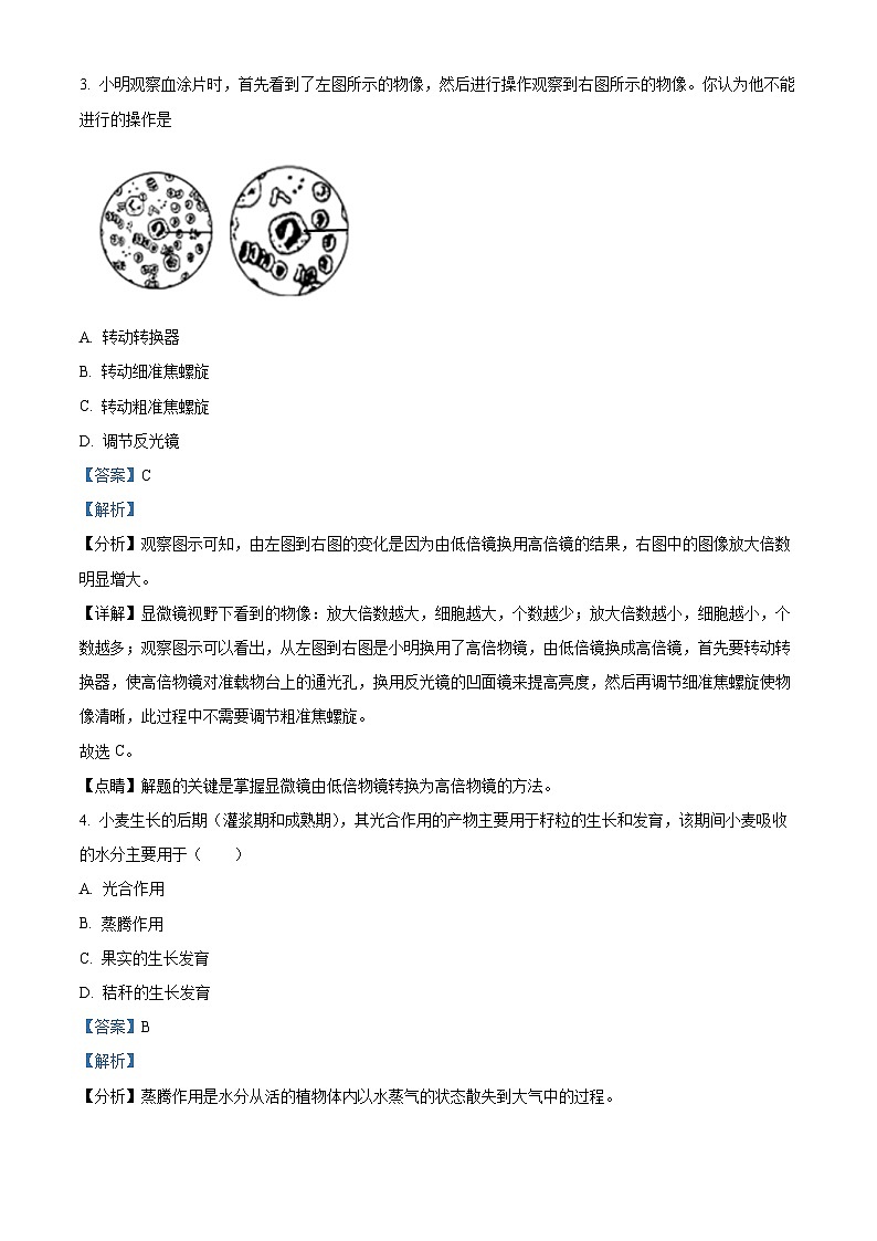海南省文昌市文昌中学2023-2024学年七年级上学期期末生物试题A卷第2页