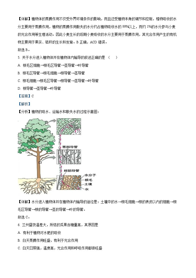 海南省文昌市文昌中学2023-2024学年七年级上学期期末生物试题A卷第3页