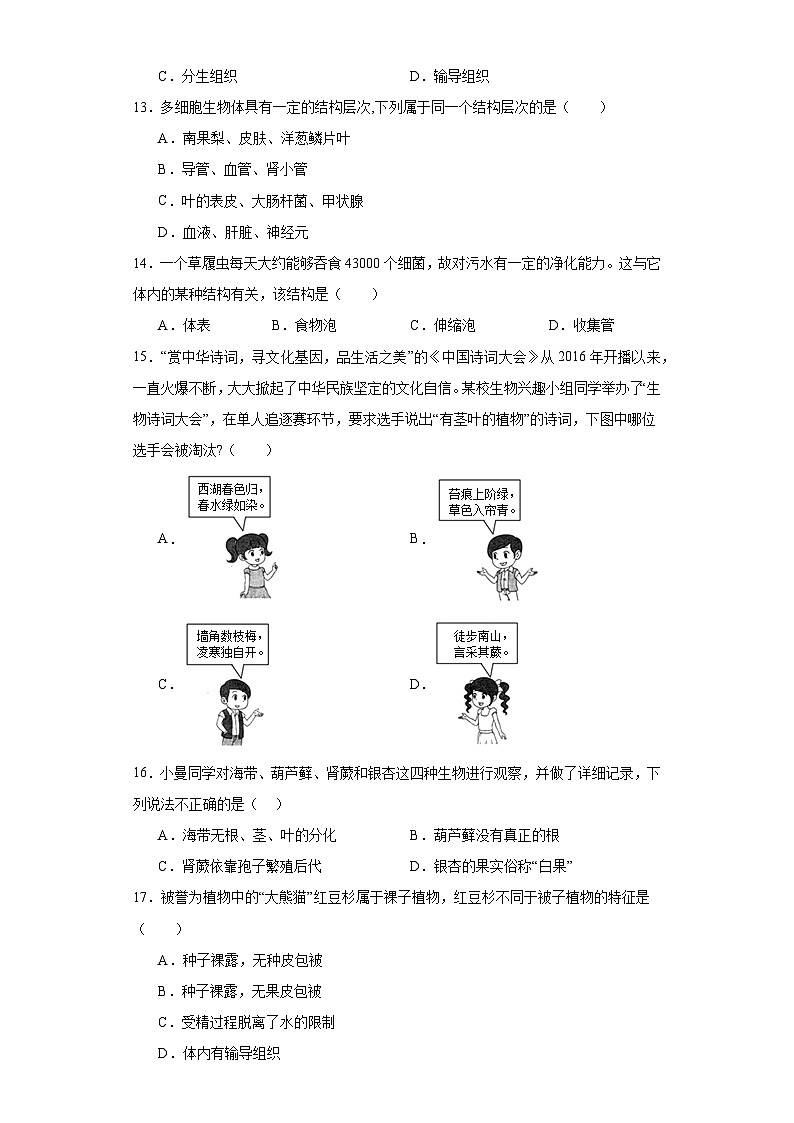 湖南省邵阳市武冈市2023-2024学年七年级上学期期末生物试题(含答案)第3页