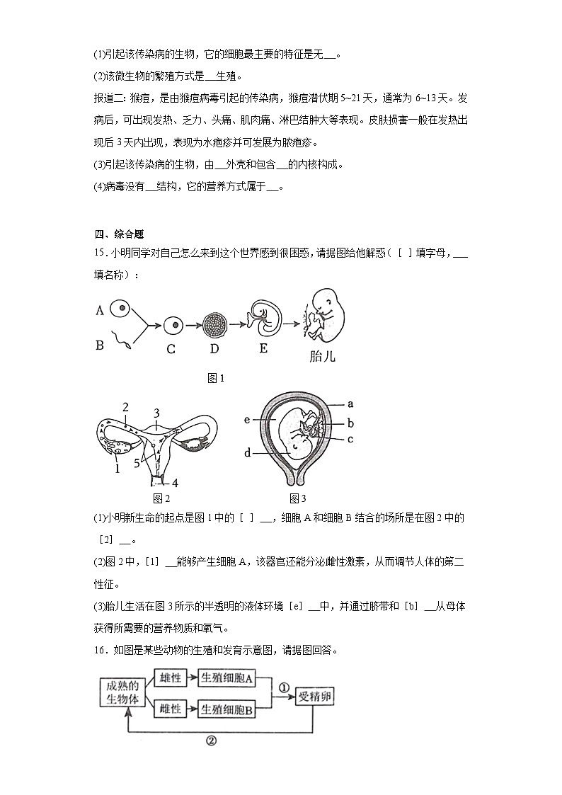 辽宁省抚顺市清原满族自治县2023-2024学年八年级上学期期末生物试题(含答案)第3页