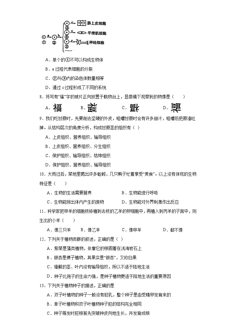陕西省西安市第九十九中学2023-2024学年七年级上学期期末生物试题(含答案)第2页