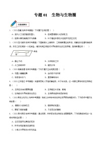 专题01 生物与生物圈-中考生物真题分项汇编（全国通用）（第03期）