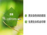人教版八年级下册生物同步课件7.2.4 人的性别遗传（教学课件）