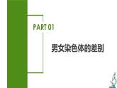 人教版八年级下册生物同步课件7.2.4 人的性别遗传（教学课件）