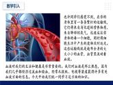 9.1++血液++课件-2023-2024学年北师大版生物七年级下册