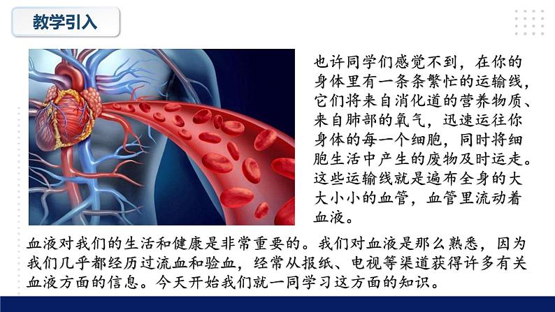 9.1++血液++课件-2023-2024学年北师大版生物七年级下册第5页