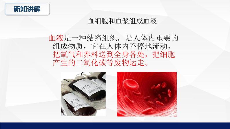 9.1++血液++课件-2023-2024学年北师大版生物七年级下册第6页