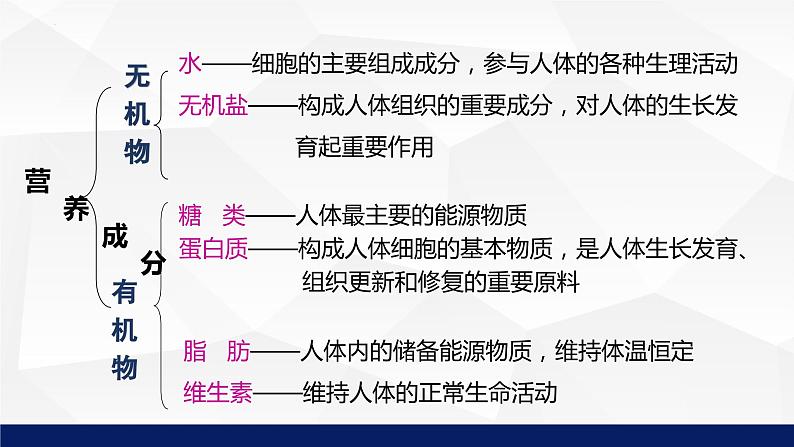 8.2+食物的消化和营养物质的吸收（第1课时）课件-2023-2024学年北师大版生物七年级下册06