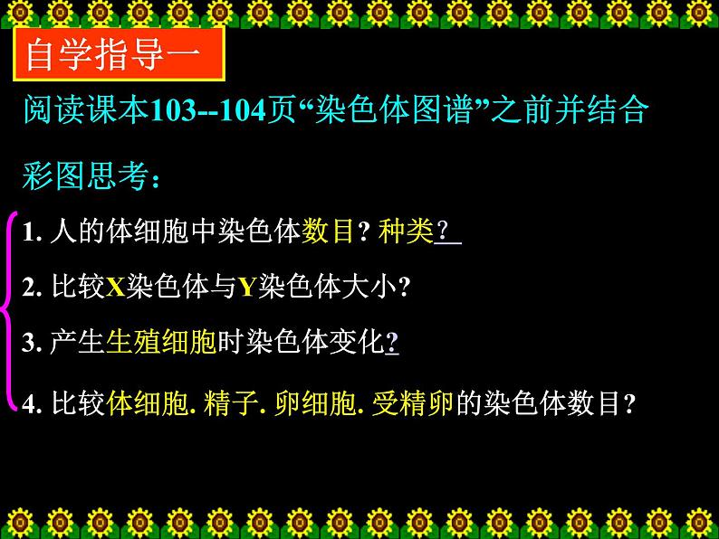 4.4.3++人类染色体与性别决定++课件-2023-2024学年济南版生物八年级上册03