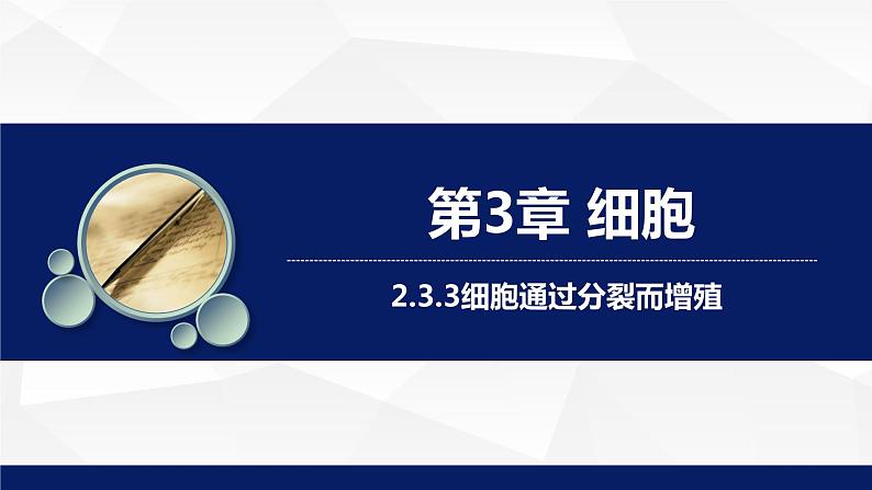 2.3.3++细胞通过分裂而增殖++课件-2023-2024学年北师大版生物七年级上册第1页