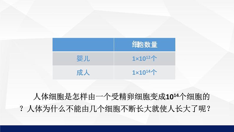 2.3.3++细胞通过分裂而增殖++课件-2023-2024学年北师大版生物七年级上册第6页