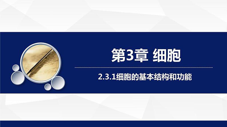 2.3.1细胞的基本结构和功能（第2课时）课件-2023-2024学年北师大版生物七年级上册第1页