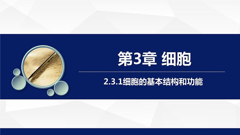 2.3.1++细胞的基本结构和功能（第1课时）课件-2023-2024学年北师大版生物七年级上册01