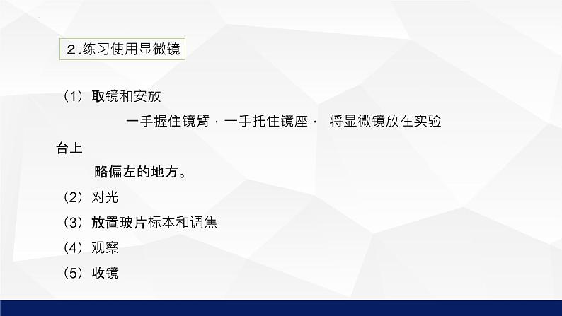 2.3.1++细胞的基本结构和功能（第1课时）课件-2023-2024学年北师大版生物七年级上册07