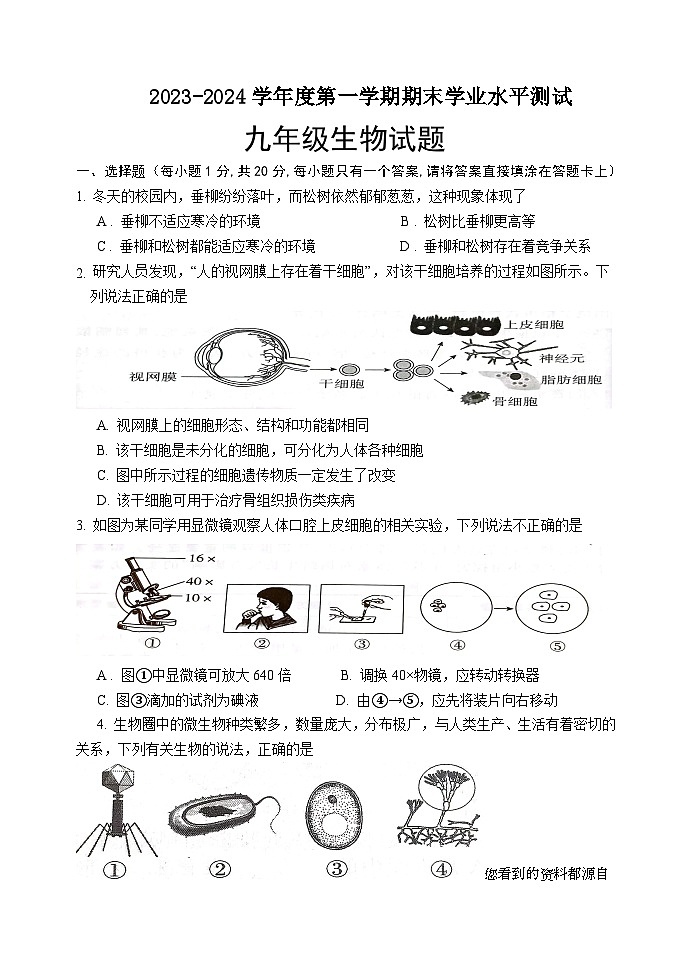 山东省菏泽市巨野县2023-2024学年九年级上学期期末考试生物试题01