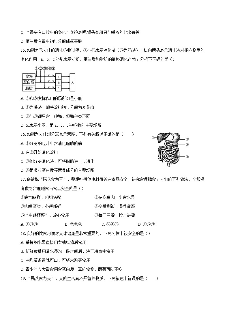 山东省聊城市东阿县第三中学2023-2024学年七年级下学期开学考试生物试题03