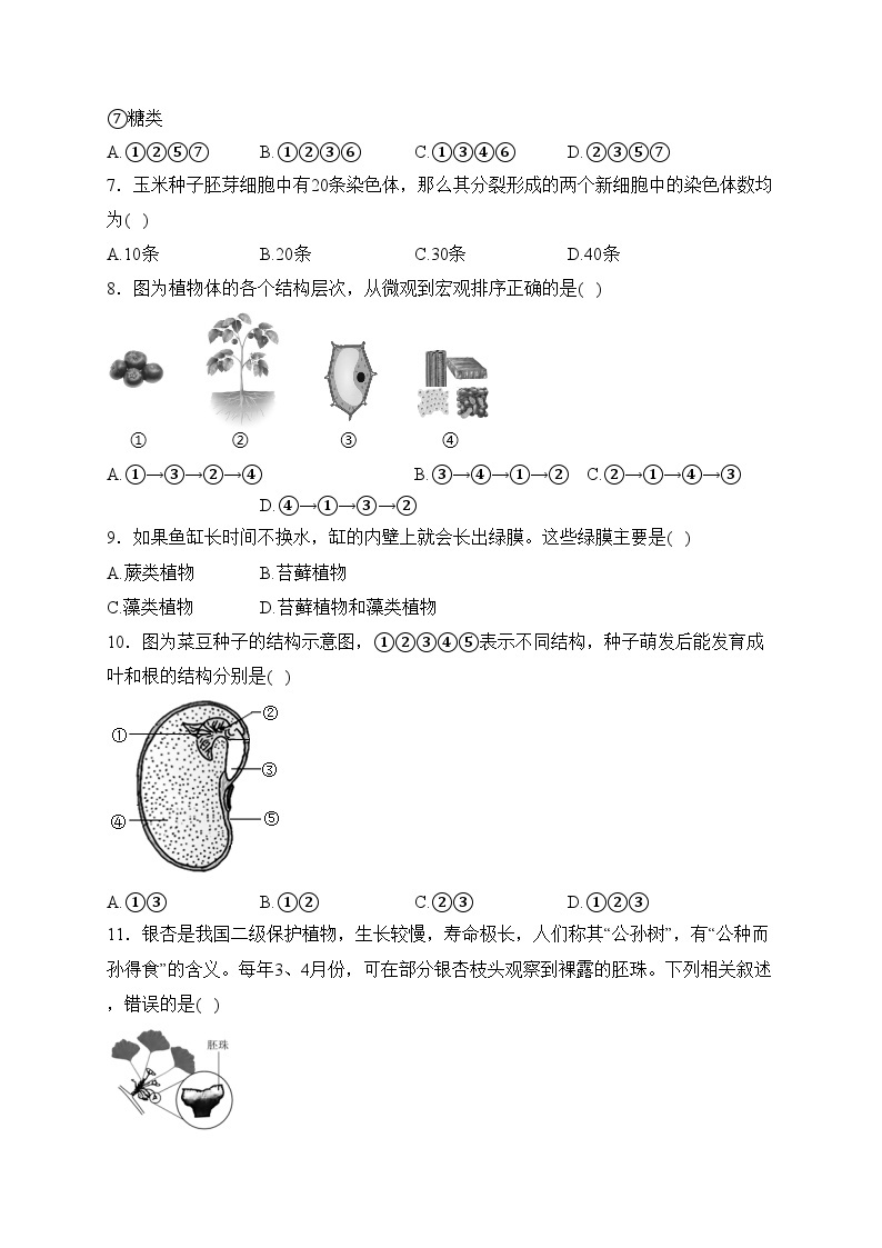 广西南宁市第三中学2022-2023年七年级下学期开学学情调查生物试卷(含答案)02