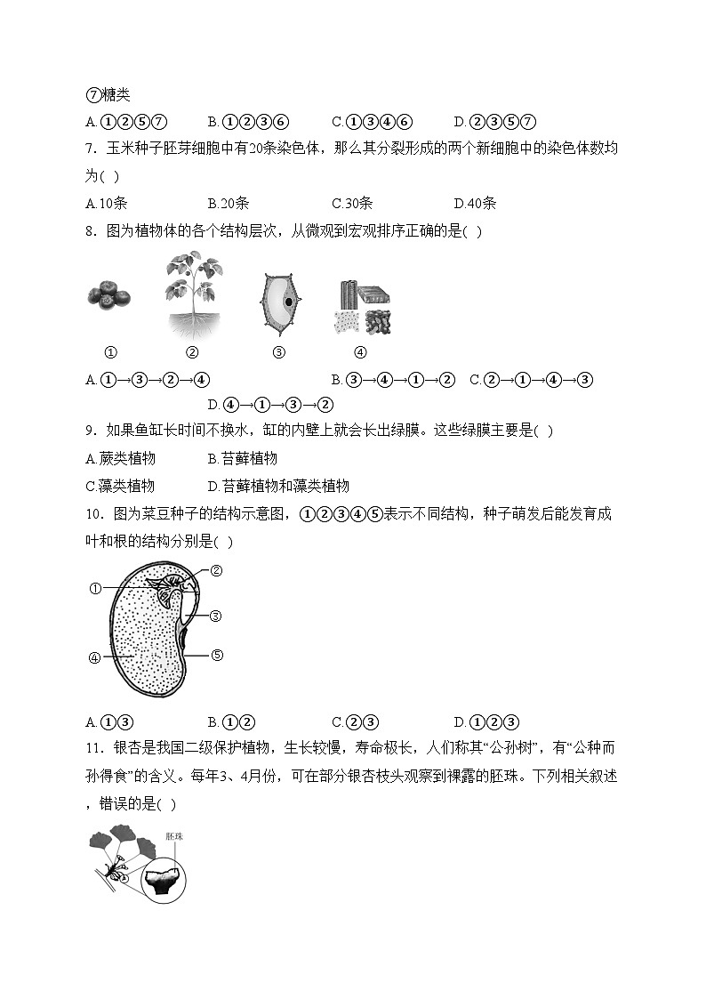 广西南宁市第三中学2022-2023年七年级下学期开学学情调查生物试卷(含答案)02