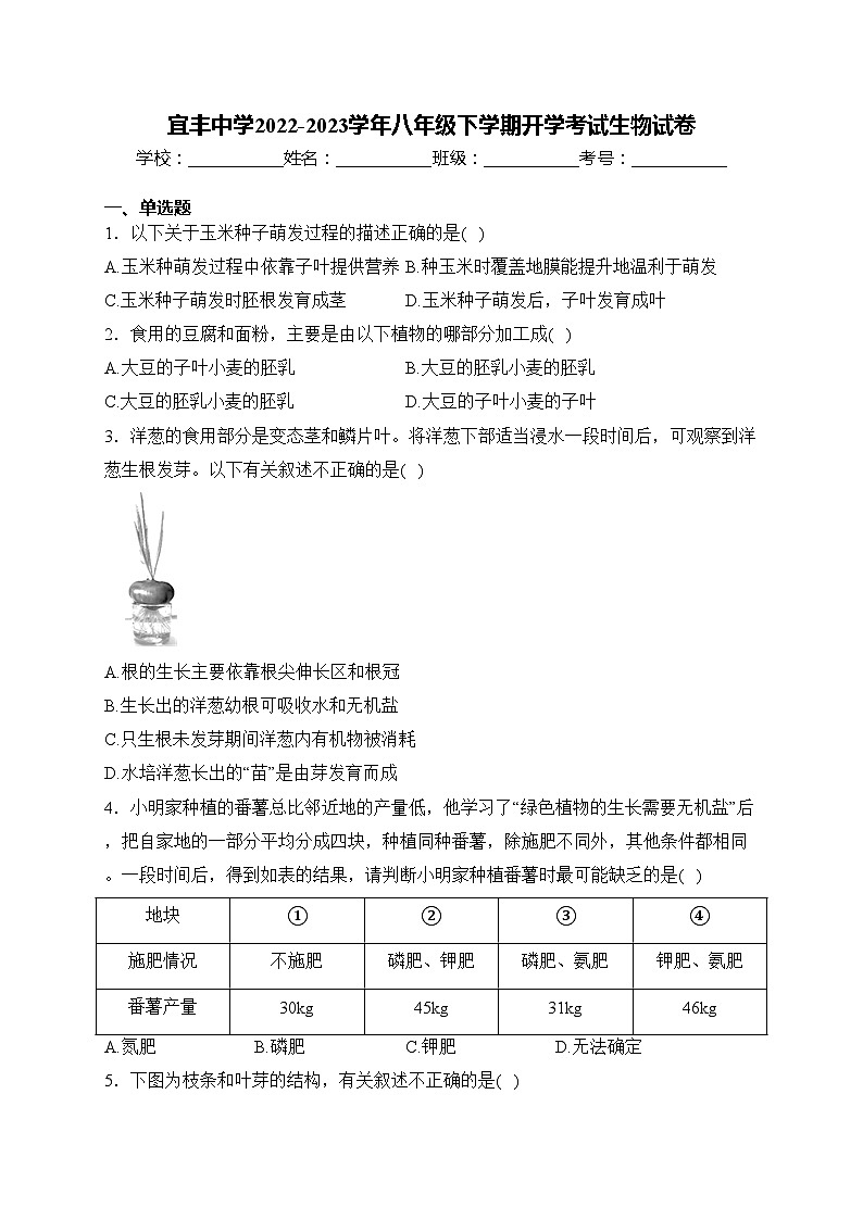 宜丰中学2022-2023学年八年级下学期开学考试生物试卷(含答案)第1页