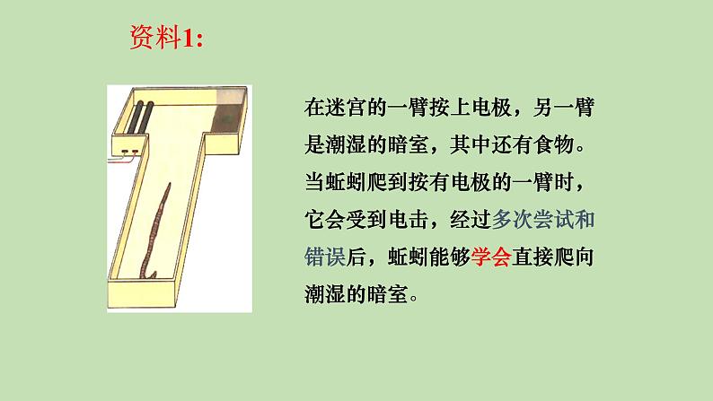 7.2.2先天性行为和学习行为---2023-2024学年鲁科版（五四版）生物学八年级上册课件06