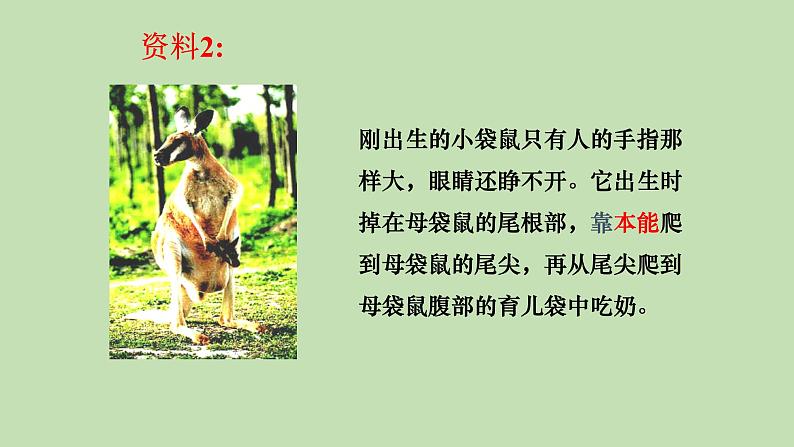 7.2.2先天性行为和学习行为---2023-2024学年鲁科版（五四版）生物学八年级上册课件07