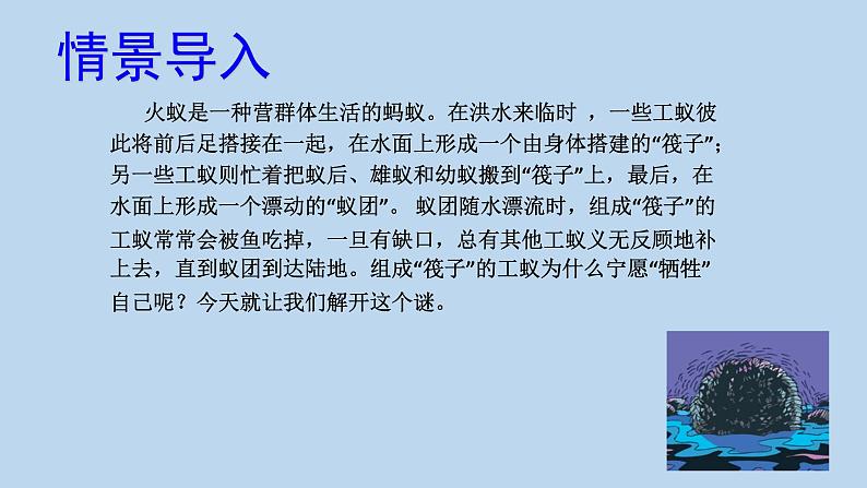 7.2.3社会行为---2023-2024学年鲁科版（五四版）生物学八年级上册课件02