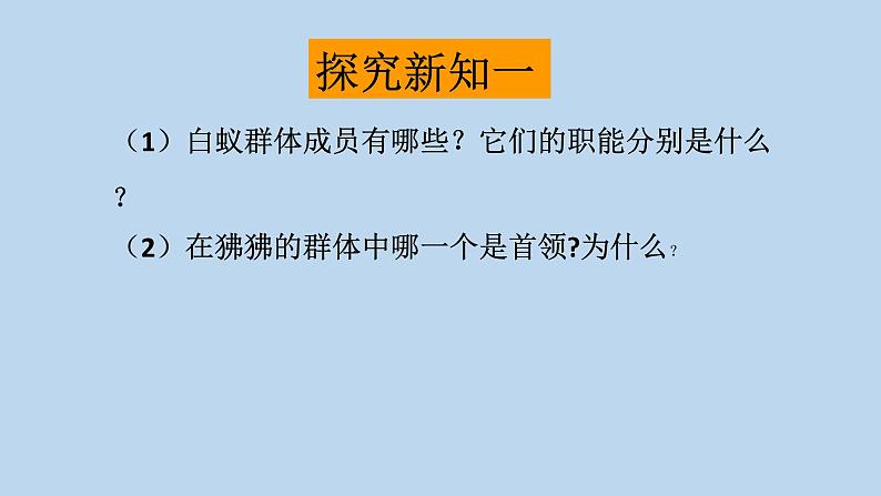 7.2.3社会行为---2023-2024学年鲁科版（五四版）生物学八年级上册课件03