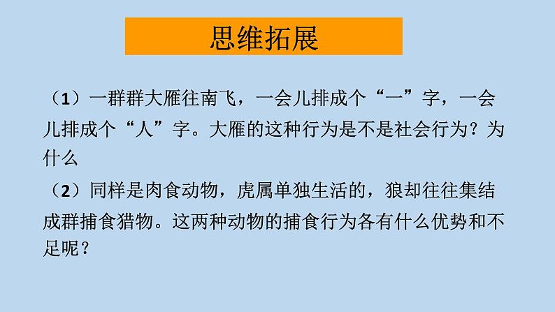 7.2.3社会行为---2023-2024学年鲁科版（五四版）生物学八年级上册课件06