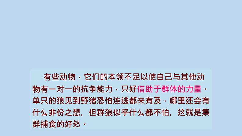 7.2.3社会行为---2023-2024学年鲁科版（五四版）生物学八年级上册课件07