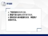 11.3+皮肤与汗液分泌教学课件2023--2024学年北师大版生物七年级下册