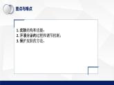 11.3+皮肤与汗液分泌教学课件2023--2024学年北师大版生物七年级下册