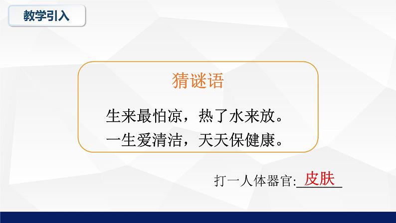 11.3+皮肤与汗液分泌教学课件2023--2024学年北师大版生物七年级下册第5页