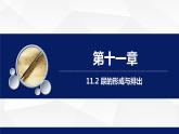 11.2+尿的形成与排出（第一课时）课件2023--2024学年北师大版生物七年级下册