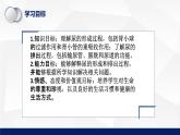 11.2+尿的形成与排出（第一课时）课件2023--2024学年北师大版生物七年级下册