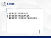 11.2+尿的形成与排出（第一课时）课件2023--2024学年北师大版生物七年级下册