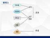 11.2+尿的形成与排出（第一课时）课件2023--2024学年北师大版生物七年级下册