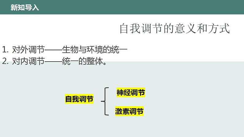 12.1神经系统和神经调节(第一课时)同步课件2023--2024学年北师大版生物七年级下册第5页