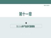 11.1+人体产生的代谢废物同步课件2023--2024学年北师大版生物七年级下册