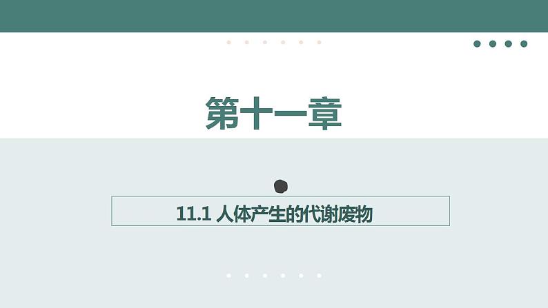 11.1人体产生的代谢废物同步课件2023--2024学年北师大版生物七年级下册第1页